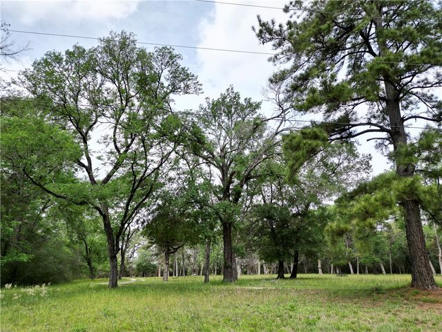 10314 County Road 417A, Navasota, TX 77868