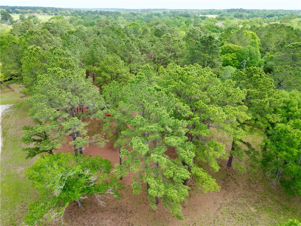 10314 County Road 417A, Navasota, TX 77868 — photo 2