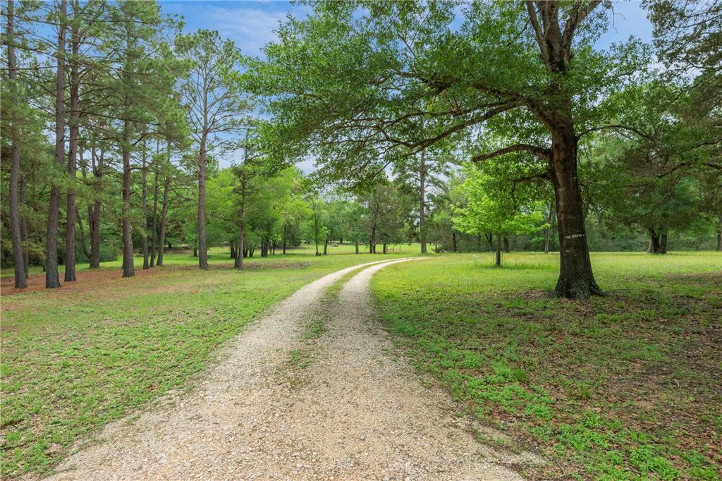 10314 County Road 417A, Navasota, TX 77868 — photo 3
