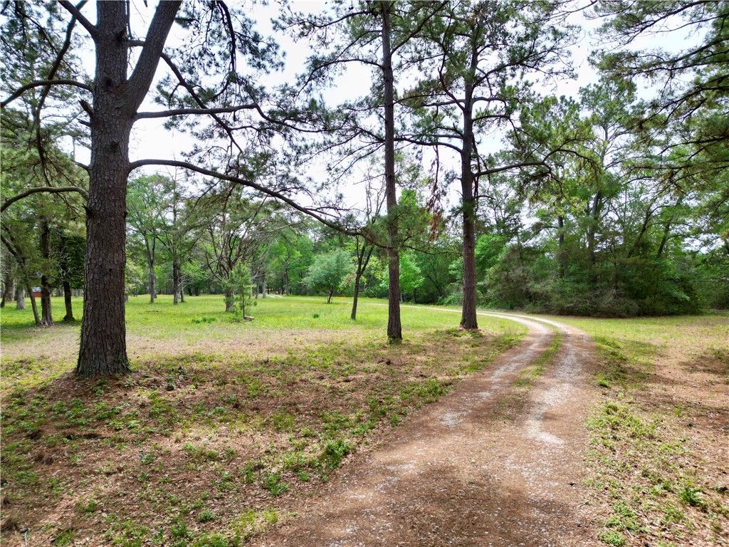 10314 County Road 417A, Navasota, TX 77868 — photo 5