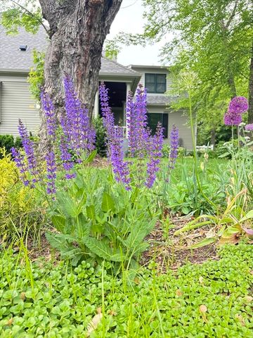 56 Summit Rd 5, Belmont, MA 02478