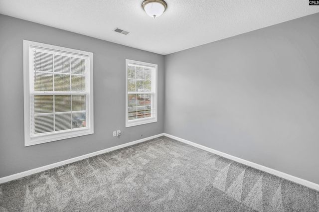 108 Dupre Mill Road, Lexington, SC 29072