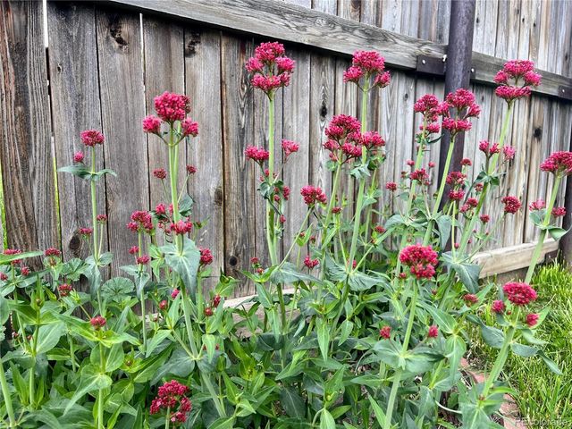 12241 W New Mexico Avenue, Lakewood, CO 80228