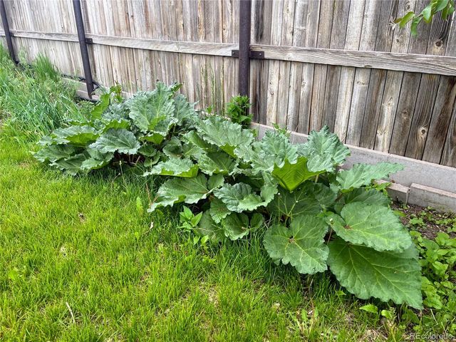 12241 W New Mexico Avenue, Lakewood, CO 80228