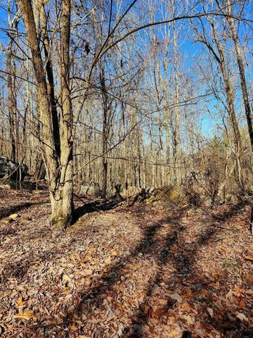 0 Scenic Drive 6, South Pittsburg, TN 37380