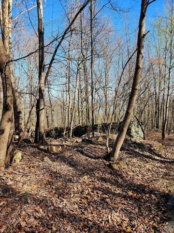 0 Scenic Drive 6, South Pittsburg, TN 37380