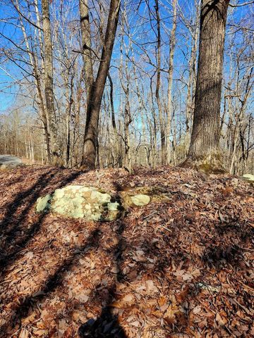 0 Scenic Drive 6, South Pittsburg, TN 37380