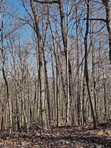 0 Scenic Drive 6, South Pittsburg, TN 37380