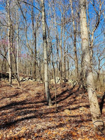 0 Scenic Drive 6, South Pittsburg, TN 37380