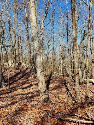 0 Scenic Drive 6, South Pittsburg, TN 37380