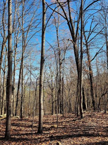 0 Scenic Drive 6, South Pittsburg, TN 37380