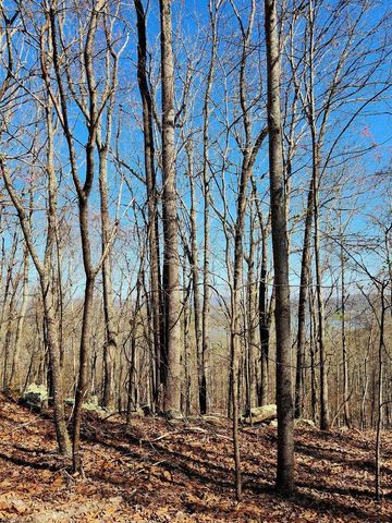 0 Scenic Drive 6, South Pittsburg, TN 37380