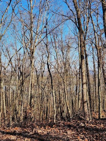 0 Scenic Drive 6, South Pittsburg, TN 37380
