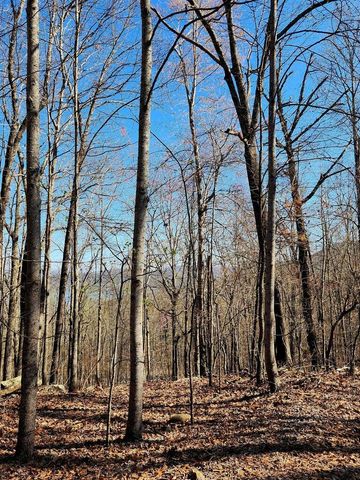 0 Scenic Drive 6, South Pittsburg, TN 37380