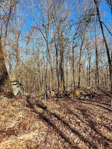 0 Scenic Drive 6, South Pittsburg, TN 37380