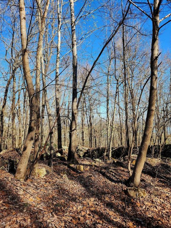 0 Scenic Drive 6, South Pittsburg, TN 37380