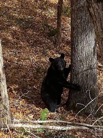 109 Emerald Ridge Road, Sapphire, NC 28774