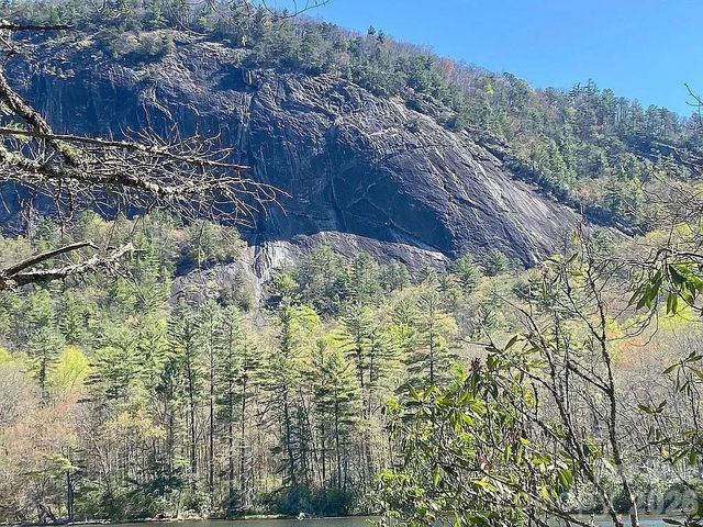 109 Emerald Ridge Road, Sapphire, NC 28774