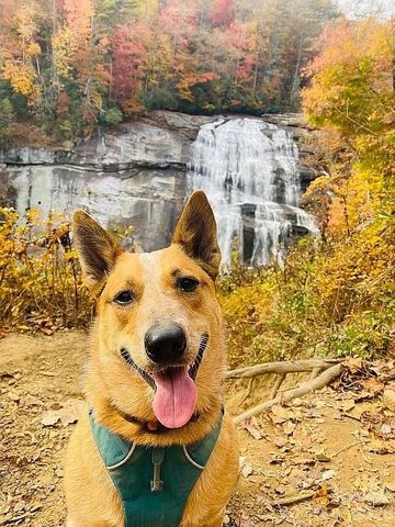 109 Emerald Ridge Road, Sapphire, NC 28774