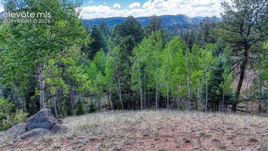 783 Bennett Drive, Cripple Creek, CO 80813 — photo 2