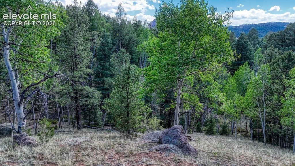 783 Bennett Drive, Cripple Creek, CO 80813 — photo 4
