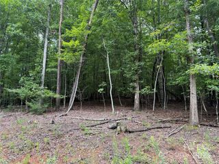 00 Woodchuck Lane 110, Marion, NC 28752