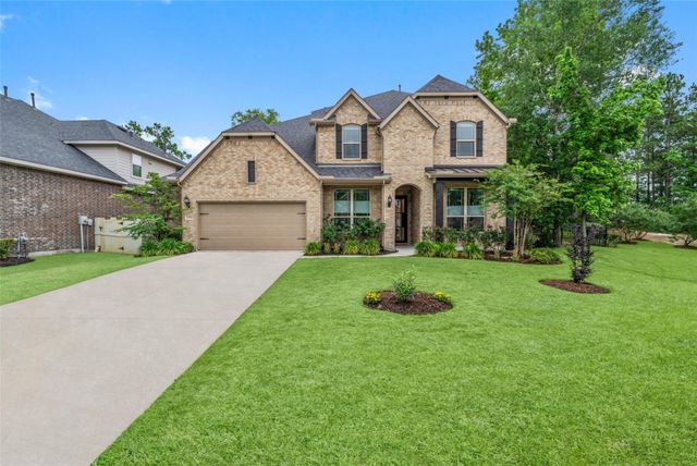 1053 Bat Hawk Court, Conroe, TX 77385