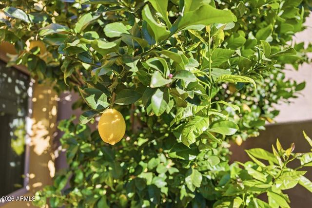 9850 E McDowell Mountain Ranch Road 1009, Scottsdale, AZ 85260