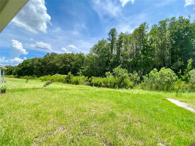 18236 HUNTERS MEADOW WALK, Land O Lakes, FL 34638