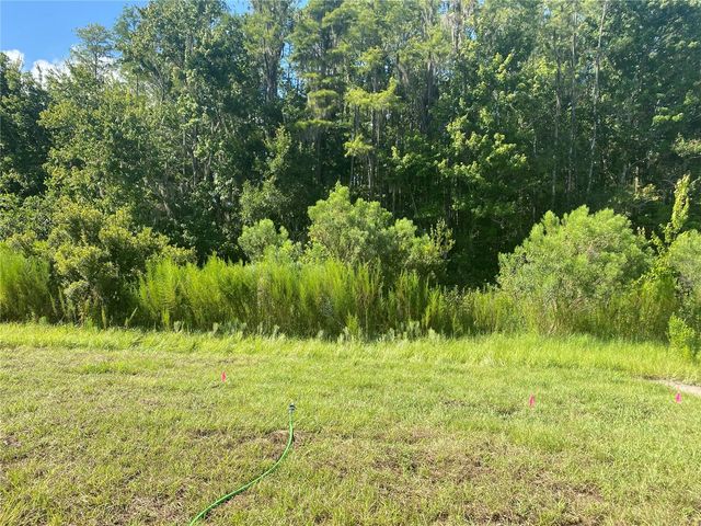 18236 HUNTERS MEADOW WALK, Land O Lakes, FL 34638