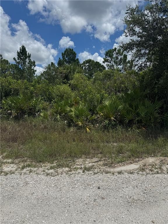 518 Louis AVE, LEHIGH ACRES, FL 33972 — exterior