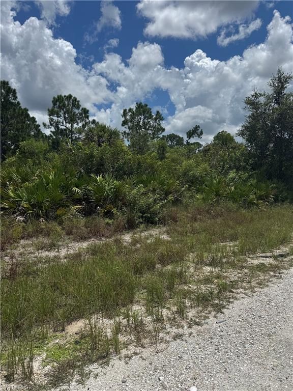 518 Louis AVE, LEHIGH ACRES, FL 33972 — photo 4