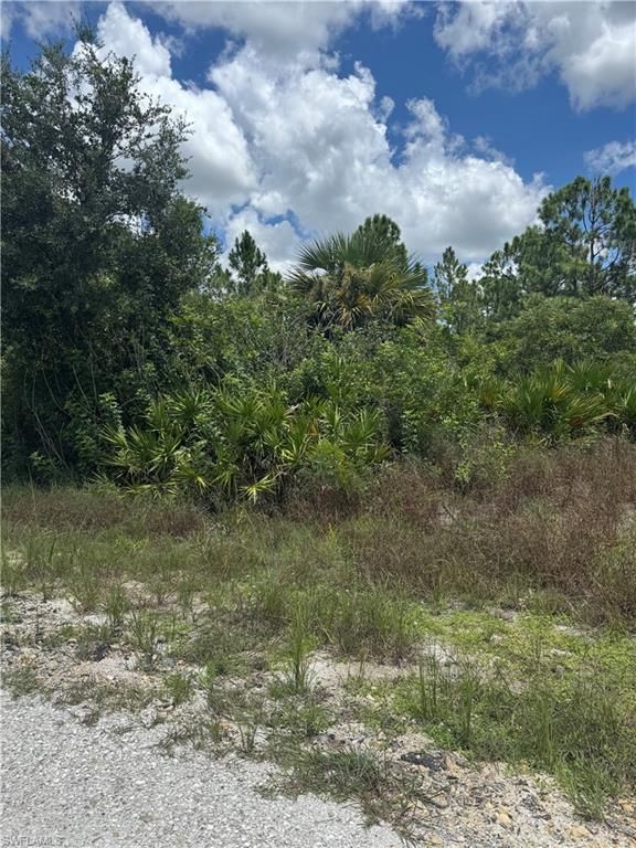 518 Louis AVE, LEHIGH ACRES, FL 33972 — photo 5