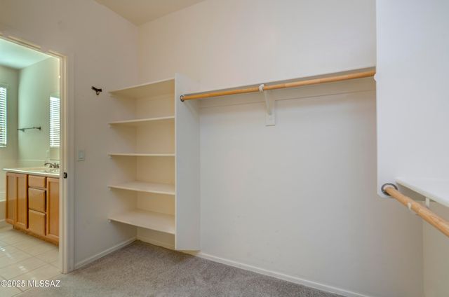 8592 N Western Juniper Terrace, Tucson, AZ 85743