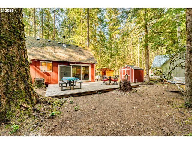 141 Northoowds Cabin, Cougar, WA 98616