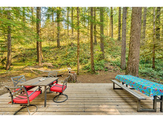 141 Northoowds Cabin, Cougar, WA 98616