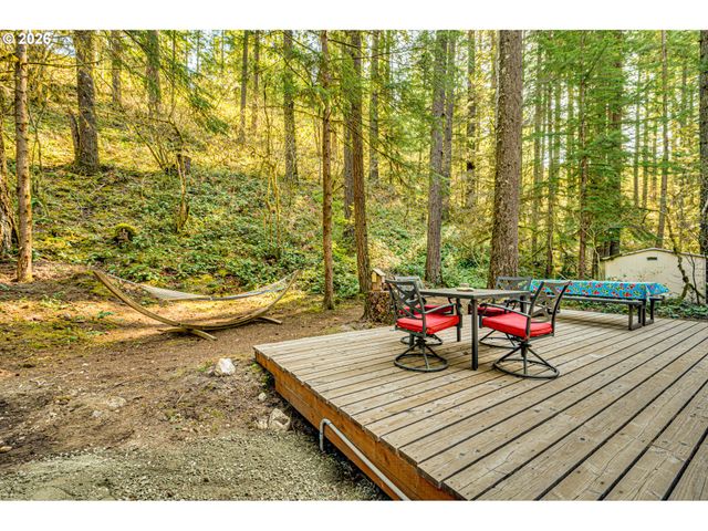 141 Northoowds Cabin, Cougar, WA 98616
