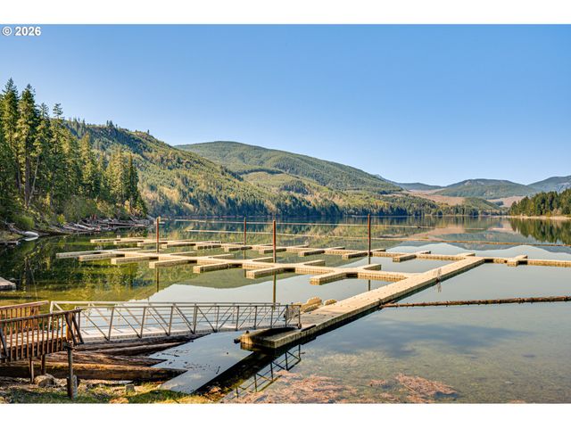 141 Northoowds Cabin, Cougar, WA 98616