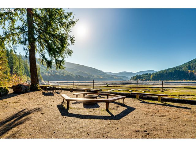 141 Northoowds Cabin, Cougar, WA 98616