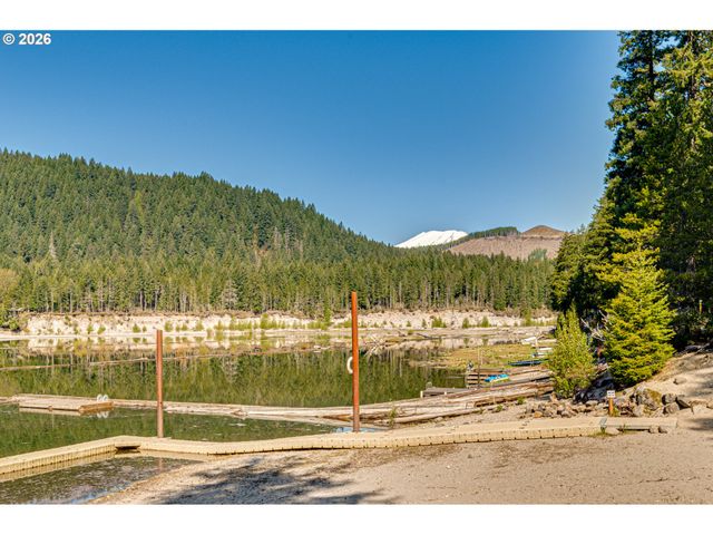 141 Northoowds Cabin, Cougar, WA 98616