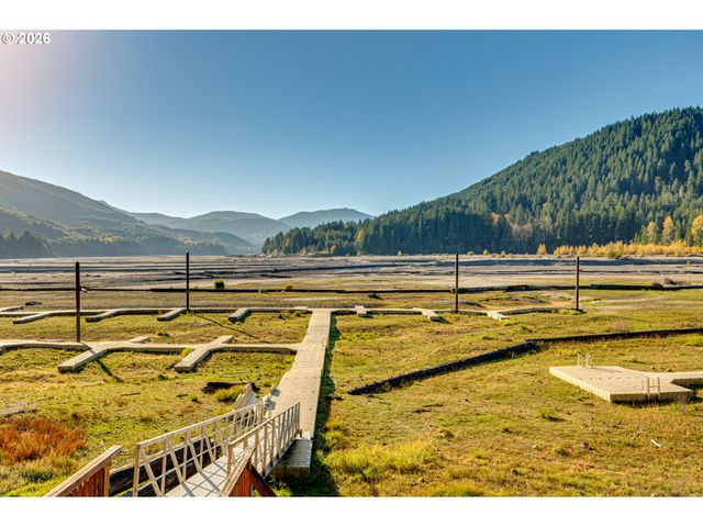 141 Northoowds Cabin, Cougar, WA 98616