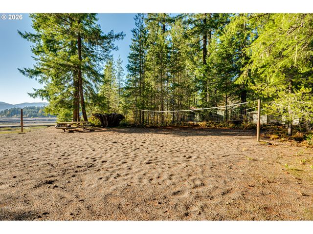 141 Northoowds Cabin, Cougar, WA 98616