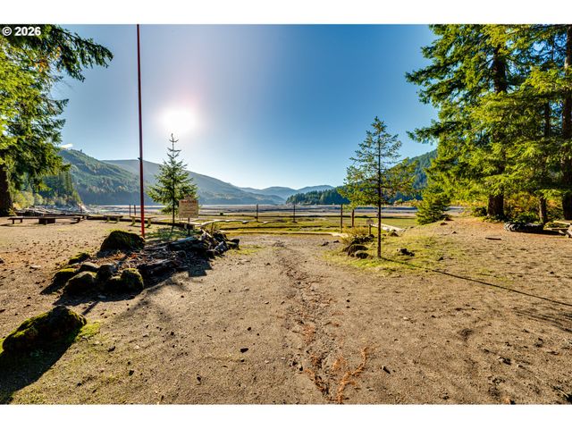 141 Northoowds Cabin, Cougar, WA 98616