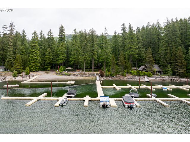 141 Northoowds Cabin, Cougar, WA 98616