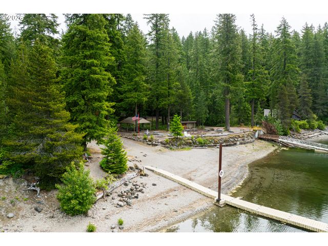 141 Northoowds Cabin, Cougar, WA 98616