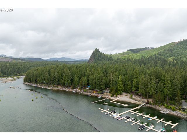 141 Northoowds Cabin, Cougar, WA 98616