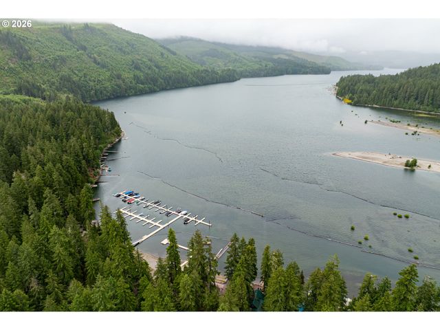 141 Northoowds Cabin, Cougar, WA 98616