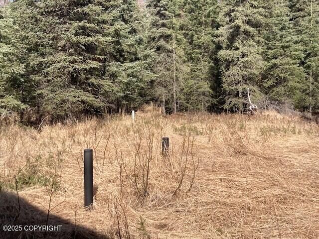 19405 Ridge Street, Kasilof, AK 99610