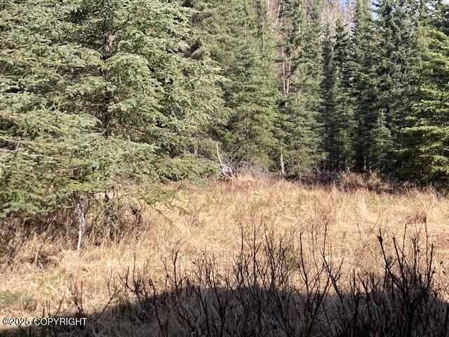 19405 Ridge Street, Kasilof, AK 99610