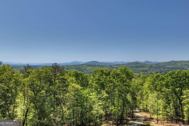 769 Voylestown Road, Morganton, GA 30560